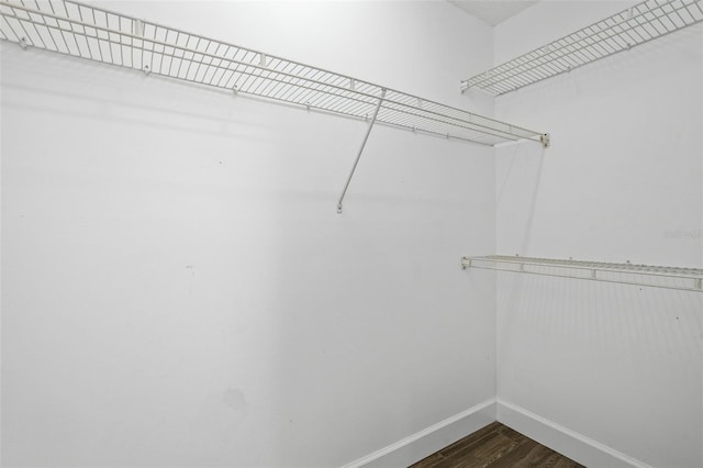 spacious closet featuring dark hardwood / wood-style flooring