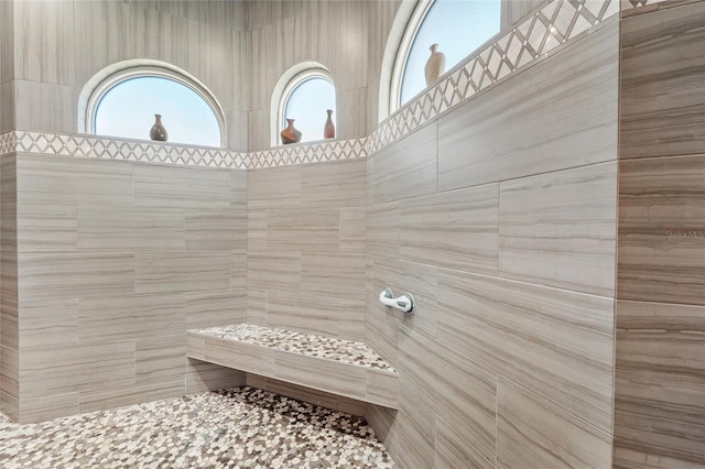 bathroom featuring a healthy amount of sunlight and tiled shower