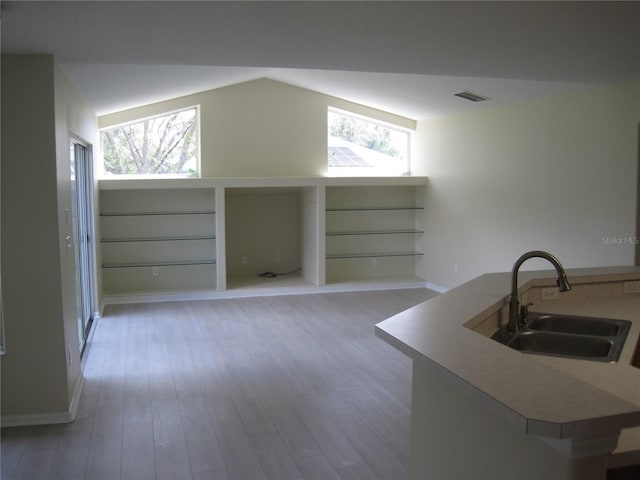 interior space featuring lofted ceiling, wood finished floors, a sink, and a healthy amount of sunlight