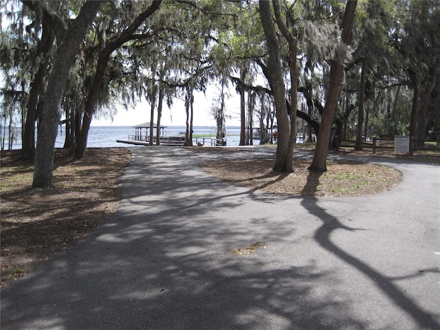 view of property's community featuring a water view