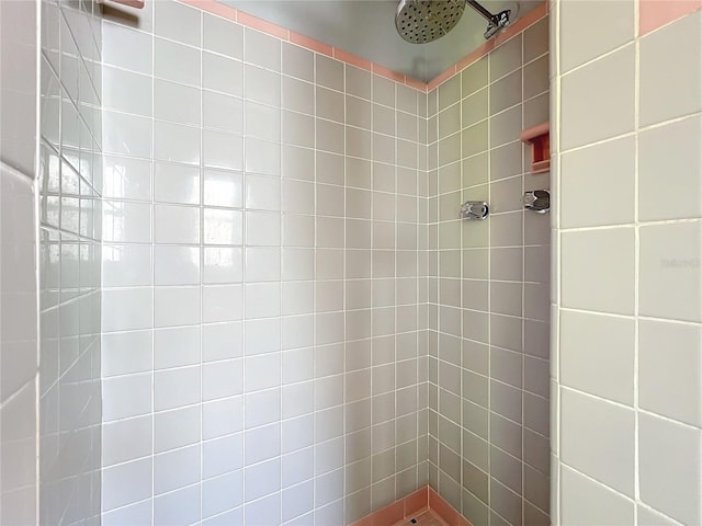 bathroom featuring a tile shower