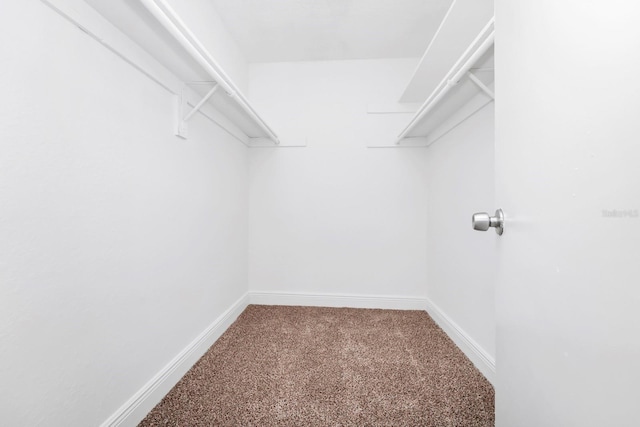 spacious closet featuring carpet flooring