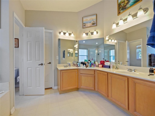 bathroom with a healthy amount of sunlight, vanity, and an enclosed shower