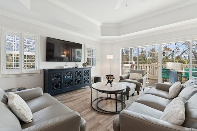 living room featuring hardwood / wood-style flooring, ornamental molding, plenty of natural light, and a tray ceiling