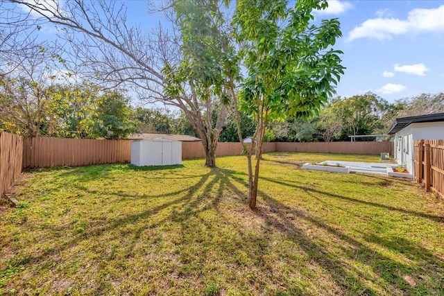 view of yard featuring a shed