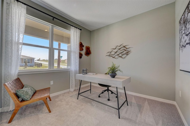 office area featuring light colored carpet