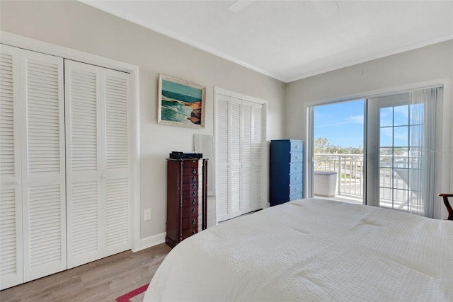 bedroom with crown molding, light wood-type flooring, and two closets