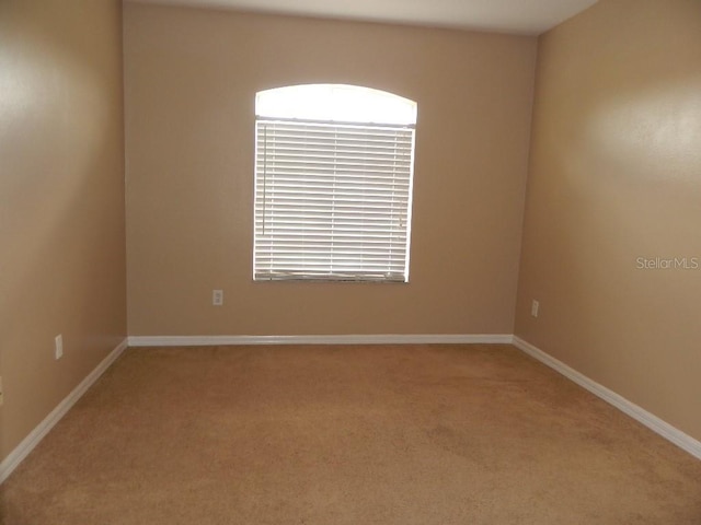 empty room featuring carpet floors