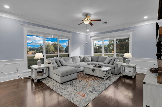 living room featuring ceiling fan, ornamental molding, and dark hardwood / wood-style flooring