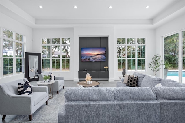 living room featuring a raised ceiling