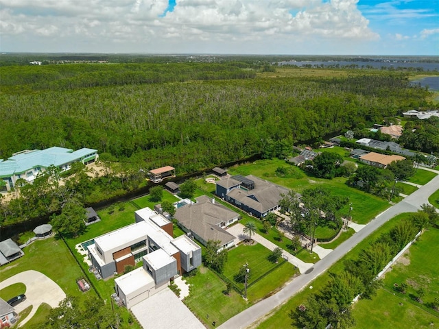10416 Pocket Ln, Orlando, FL 32836 - aerial overview of property's location with a forest and nearby suburban area