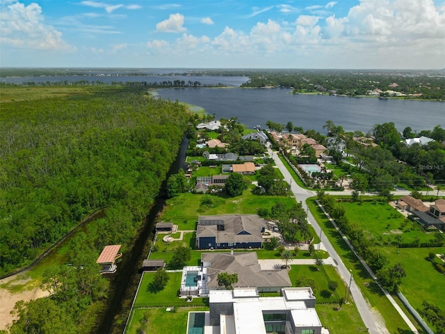 10416 Pocket Ln, Orlando, FL 32836 - aerial view of residential area with a large body of water