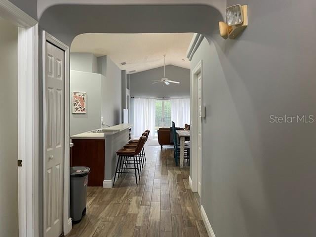 hall featuring lofted ceiling and dark wood-type flooring