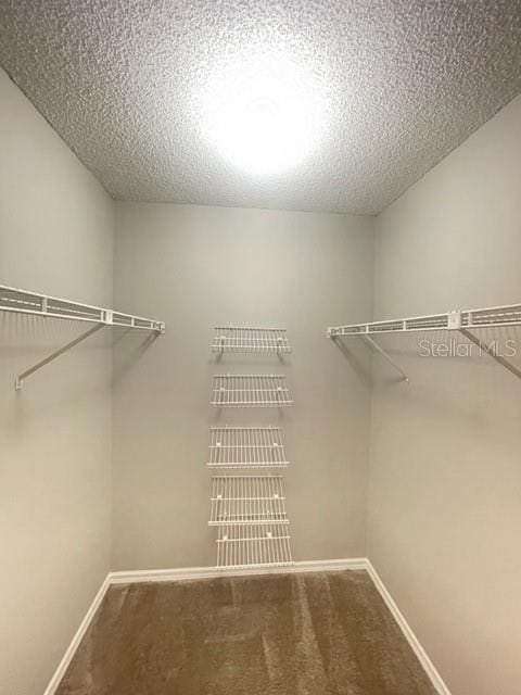 walk in closet featuring carpet flooring