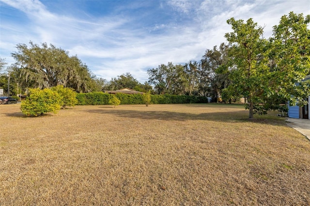 view of yard