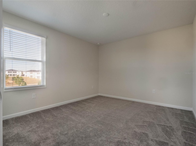 spare room with carpet floors and a textured ceiling