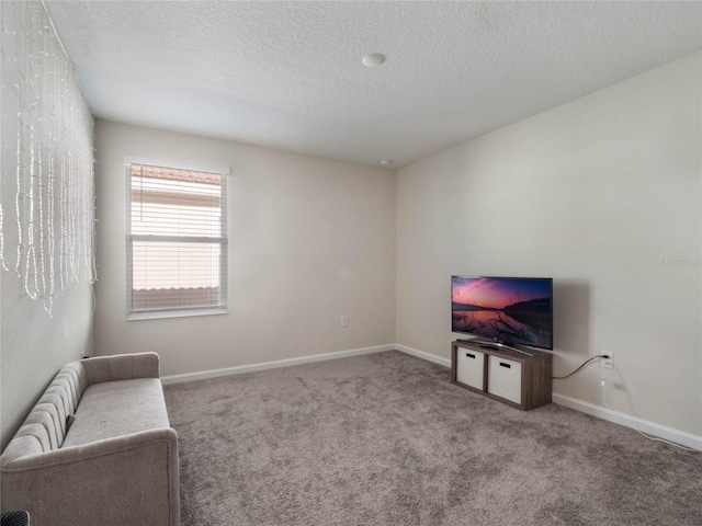 sitting room featuring carpet and a textured ceiling