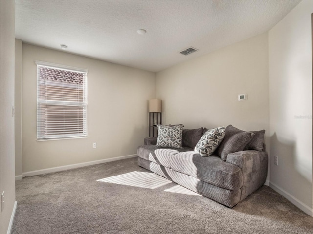 living room featuring carpet and a textured ceiling