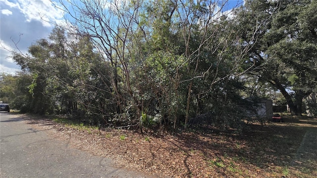 SE 94th Ct, Summerfield, FL 34491 - photo 8