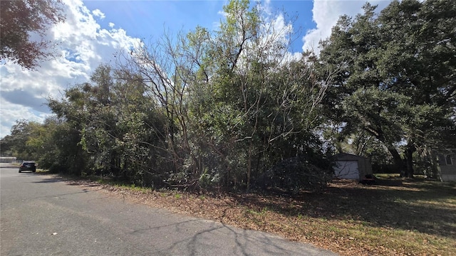SE 94th Ct, Summerfield, FL 34491 - photo 14