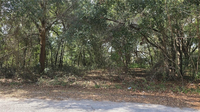 SE 94th Ct, Summerfield, FL 34491 - photo 11