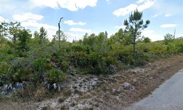 3546 Rhododendron Rd, Lake Placid FL, 33852 land for sale