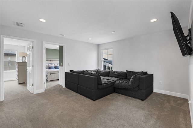 carpeted living room featuring a textured ceiling