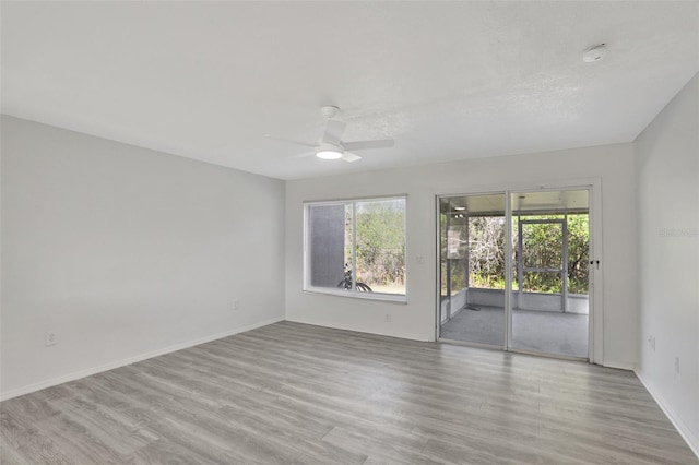 spare room featuring ceiling fan and light wood-type flooring