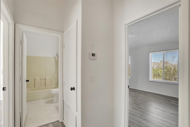 corridor featuring hardwood / wood-style floors