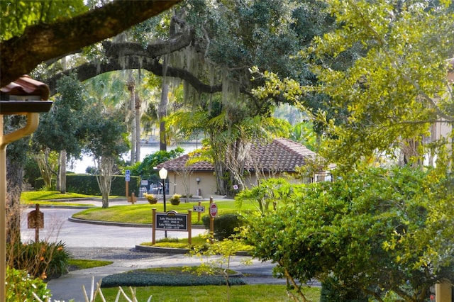 view of property's community with a yard