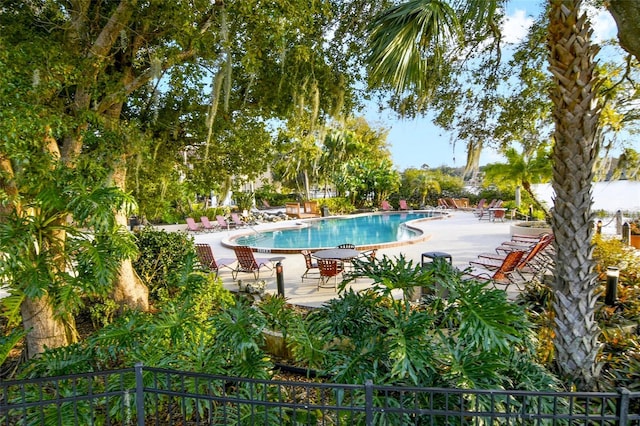 view of pool featuring a patio