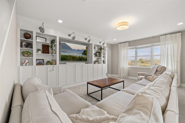 living room with built in shelves