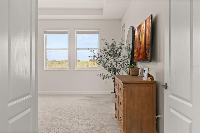 corridor with a raised ceiling and carpet