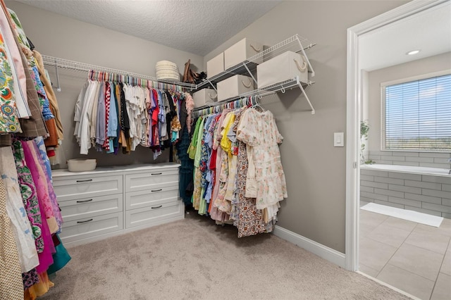 walk in closet with light carpet