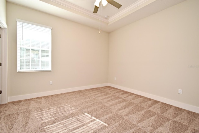 carpeted spare room featuring ceiling fan, ornamental molding, and a raised ceiling