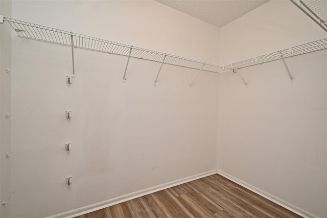 walk in closet featuring hardwood / wood-style floors