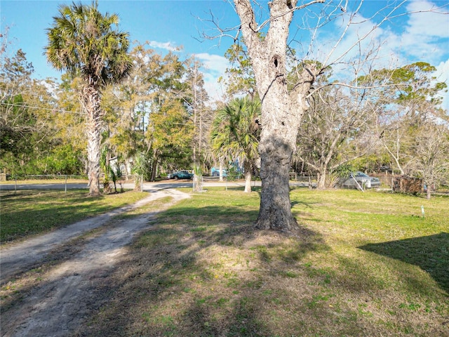 view of yard featuring dirt driveway