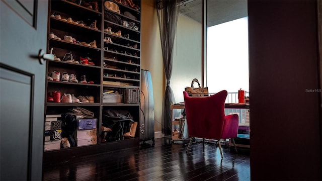 interior space with dark wood-type flooring