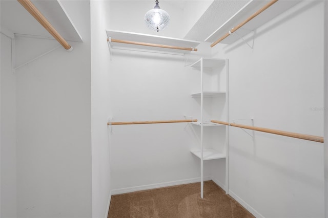 spacious closet featuring carpet floors