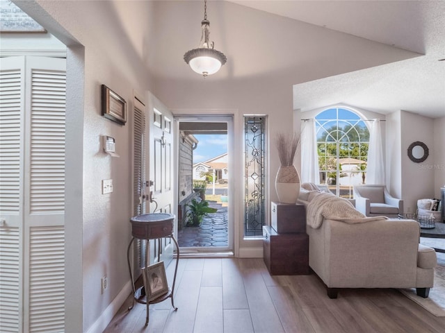 entrance foyer featuring vaulted ceiling, wood-type flooring, and a wealth of natural light