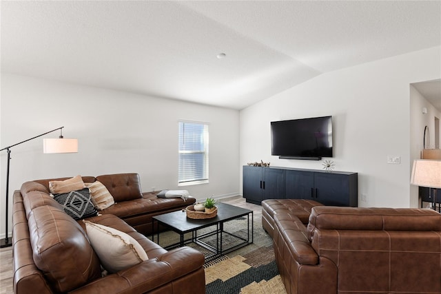 living room with lofted ceiling and wood-type flooring