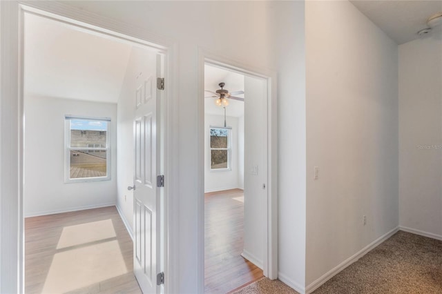 hallway with a healthy amount of sunlight and light wood-type flooring