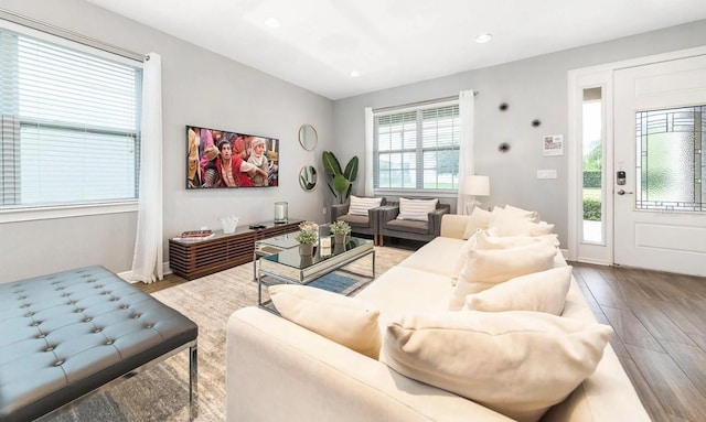 living room with hardwood / wood-style flooring