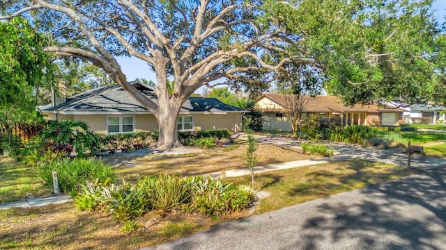 view of ranch-style house