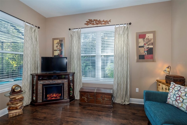 living area featuring dark hardwood / wood-style floors and a stone fireplace