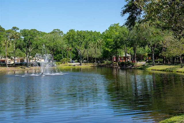 view of water feature