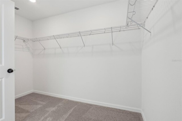 spacious closet featuring carpet floors and visible vents