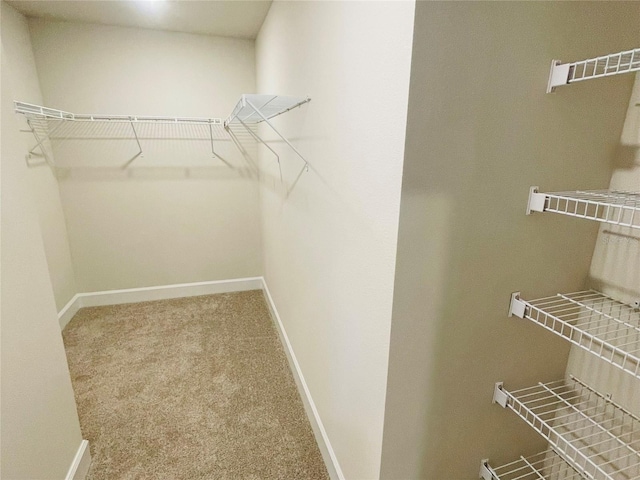 spacious closet with carpet