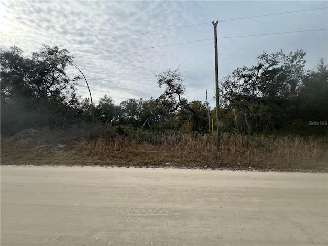 SE 179th Ave, Silver Springs FL, 34488 land for sale