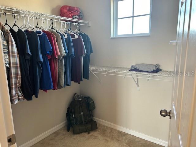 spacious closet featuring carpet floors